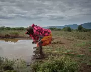 Maasai Elders Pray for Rain as Kenya's Drought Crisis Deepens and Spreads