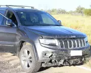 Man Charged with Murder After Alleged Kangaroo Crash Cover-Up in NT