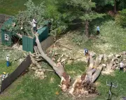 Midwestern US Faces Severe Thunderstorms and Tornado Threats