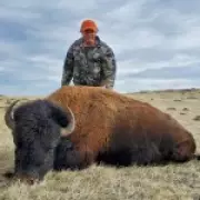 Millionaire Big Game Hunter Trampled to Death by Herd of Elephants in Gabon