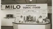Milo's Australian Origins: The Global Journey of a Chocolate Malt Icon