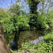 Morden Hall Park: South London's Secret National Trust Oasis at Tube's End