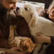 New Law Lets UK Renters Request Pets from May 1 – Vet's Advice