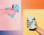 Professional Janitors Reveal How to Clean Your Bathroom Correctly