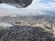Record Wildfires Devastate US Cattle Country, Leaving 'Tree Skeletons'