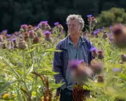 Riverford Founder: Embracing Emotional Intelligence Transformed My Farm Business