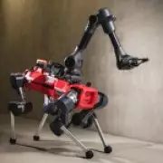 Robotic 'Dogs' Could Explore Moon and Mars Without Human Control