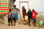 Ron Timehin's Ghanaian Portrait: A Majestic Horse and Community Pride