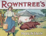 Rowntree's Trust Appoints Reparations Head to Address Colonial Legacy