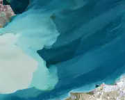 Satellite Images Reveal Iranian Ship Oil Spill Threatening Gulf Wetland
