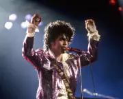 Saturday Quiz: Prince, Orwell, and Shark Skeletons Test Your Knowledge