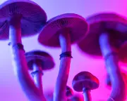 Sci-Fi & Horror Roundup: Climate Thrillers, Haunted Chapels, and Gothic Mysteries