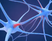 Scientists Map Unique Brain 'Fingerprint' of Psychedelic Drugs