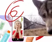 Six Great Reads: Toddler Skincare on TikTok, Indian Gangster, Chornobyl Rewilding