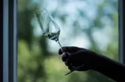 Soulful Eau de Vie: Exploring Europe's Finest Fruit Brandies