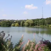 South Norwood Lake Walk: A Countryside Escape in Croydon