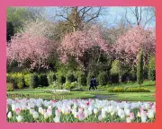 Spring Bank Holiday Essentials: 36 Top Tips, Treats, and Buys