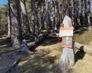Spring in Cairngorms: New Barbecue Ban Aims to Prevent Wildfires