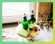 Sustainable Subscriptions: Readers Share Their Top Picks for Greener Living