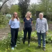 Teddington Residents Fight to Save Historic Allotments from Cemetery Expansion