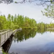 Teenager Found Dead After Swimming Incident at Lake District Beauty Spot