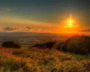 The Best Recent Poetry Collections: A Guardian Review Roundup