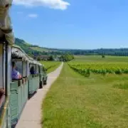 The Magnificent £12.50 Wine Train Near London Showcases English Vineyard Boom