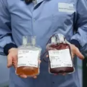 The Vital Journey of Donated Blood: From Arm to Life-Saving Medicine