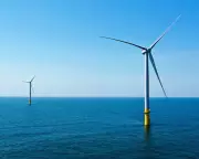 Trump Administration Blocks US Wind Projects, Pays Millions to Switch to Oil and Gas