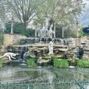 Twickenham's Hidden Gem: York Gardens Fountain Rivals Rome's Trevi