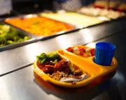 UK School Meal Proposals Spark Concerns Over Costs and Viability
