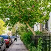 UK's Longevity Hotspots: The 10 Blue Zones Where People Live Longest