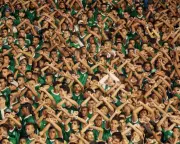 Ultras Documentary Celebrates Football's Most Passionate Fan Culture