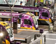 Victoria's Regional Trains Overwhelmed by Free Ticket Demand During Easter