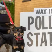 Voter Registration Deadline for May Elections: Check Your Status Now