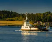 Washington Mystery Solved: 21 Dead Canines Were Legal Fishing Bait