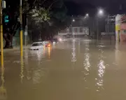 Wellington Flood Victim Found as City Recovers from Record Deluge