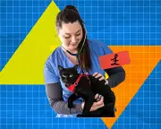 Why Pet Scans Cost More Than Human MRIs: VAT, Anaesthesia, and Scale