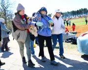 Wisconsin Animal Activists Rescue Beagles from Research Facility