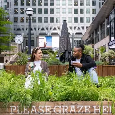 77% of Brits Want More Urban Green Spaces to Reduce Stress