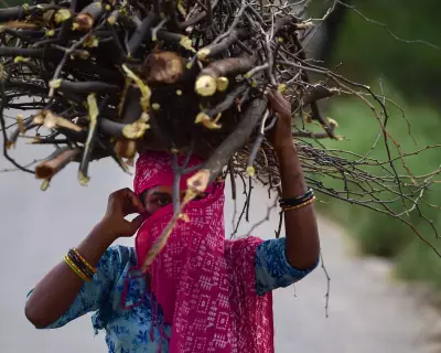 Asia's Cooking Gas Crisis: Families Return to Firewood as Prices Soar