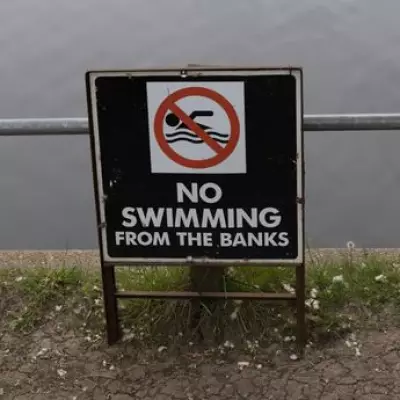 Backlash Grows Over Swimmers in Hampstead Heath Wildlife Ponds