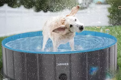 Best Foldable Paddling Pools for Summer Garden Fun on Amazon