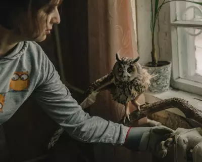 Blinded Owl Becomes Symbol of War's Toll on Ukraine's Birds
