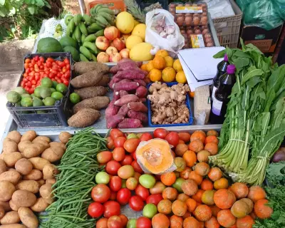 Brazil's Hospitals Phase Out Ultra-Processed Foods for Healthier Menus