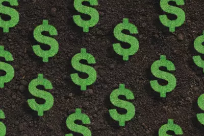 Burnt Investors May Shun Future 'Bobby Jain' Hedge Fund Launches
