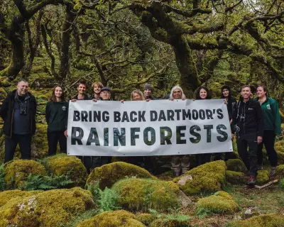 Campaign to Double England's Temperate Rainforest Launches on Dartmoor