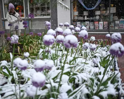 Colorado Rare May Snowstorm: Denver Hit by Spring Snow