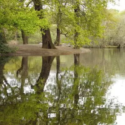 Discover Hollow Pond: East London's Peaceful Picnic Spot with Boating Lake