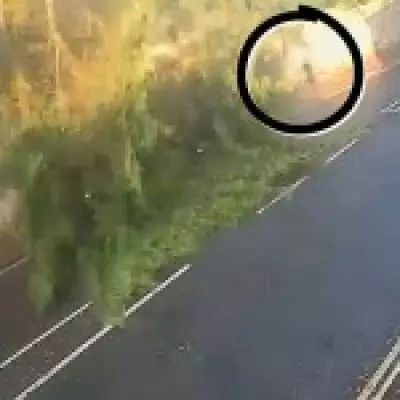 Dog Walker Narrowly Misses Crushed by Falling Tree in Bath